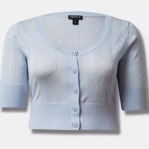 Torrid Light Blue Women's Sweater